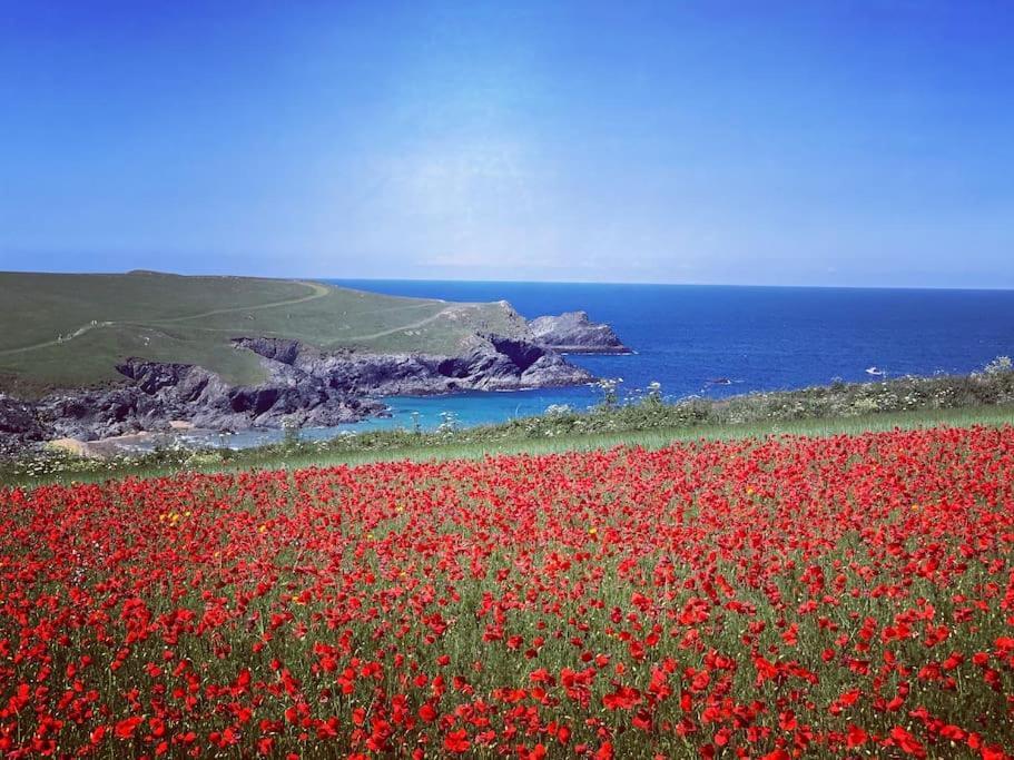 An Entire Fabulous Holiday Home - It'S All Yours! St Columb Major Buitenkant foto